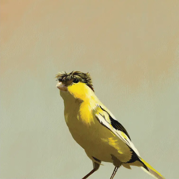 Crested Canary Wall Art