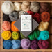 Needle Felting Starter Kit