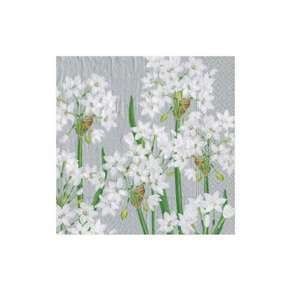 Paperwhites Cocktail Paper Napkin