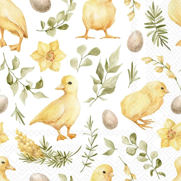 Golden Chick Cocktail Napkins