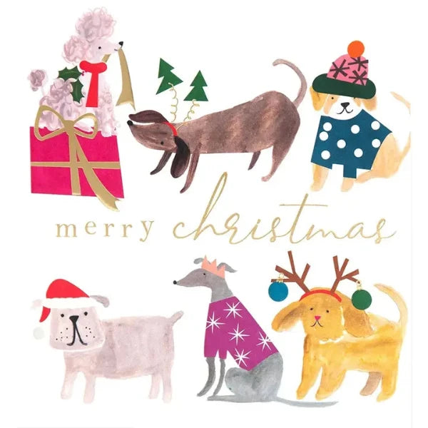Christmas Dogs Card