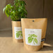 Garden In a Bag: Basil