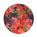 Night Flowers Coaster