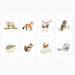 Illustrations of various forest animals on a white background