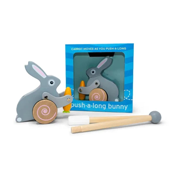 Bunny Roll-Along Push Toy