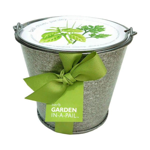 Herb garden in a pail with a green ribbon on a white background