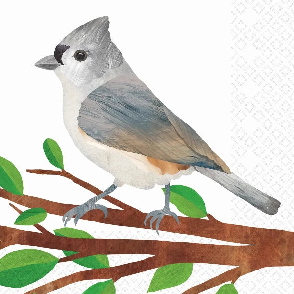 Gray Titmouse Cocktail Napkins