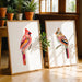 Two framed paintings of birds on a wooden floor with plants in the background.