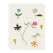 Card with colorful floral illustrations and 'Hi Bestie' text on a beige background