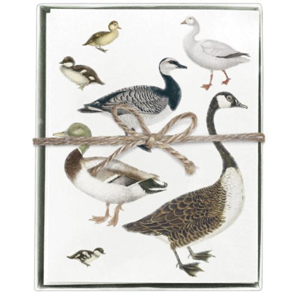 Water Fowl Boxed Greeting Cards