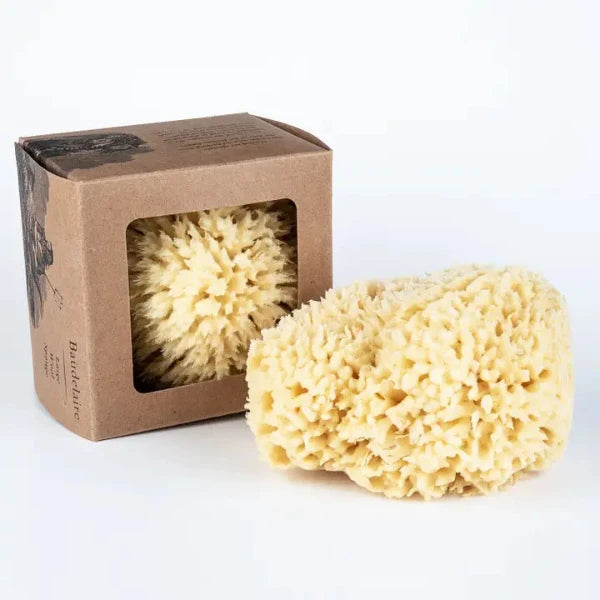 Large 5.5" Bath Sea Sponge