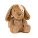 Duke Dog Soft Toy