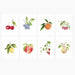 Fruits Assorted Notecard Set