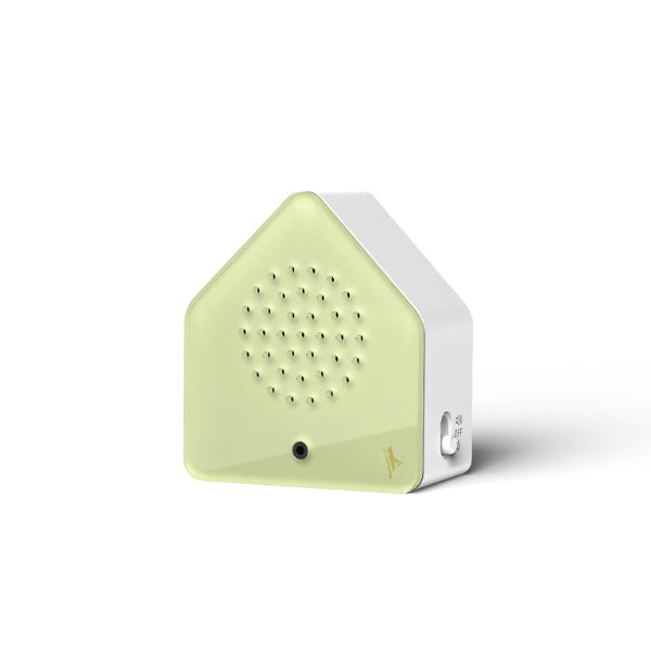 Satellitebox: Cricket Classic