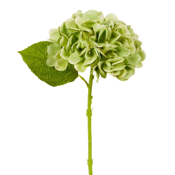 13" Real Touch Green Hydrangea Stem