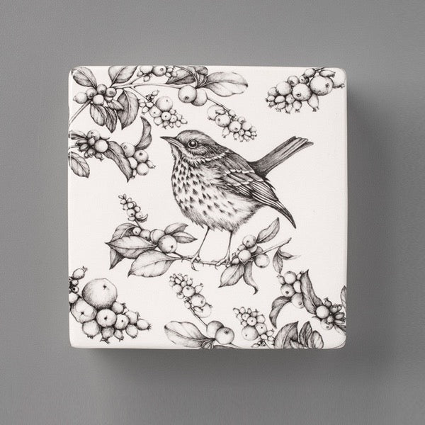 Wall Box: Hermit Thrush