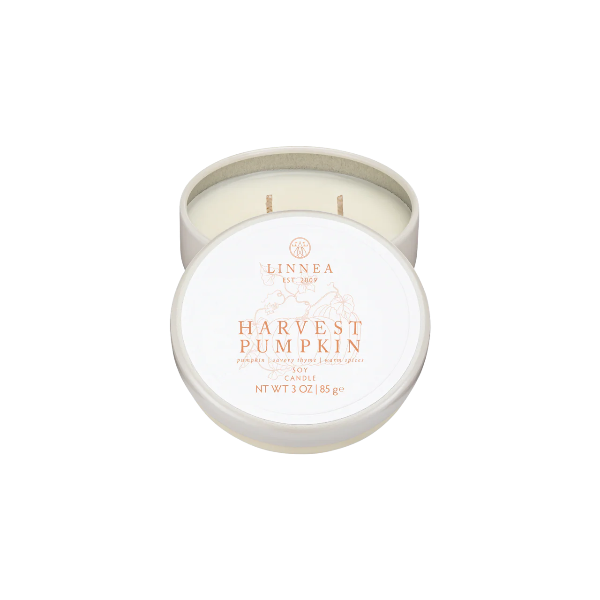 Harvest Pumpkin Petite 2-Wick Candle