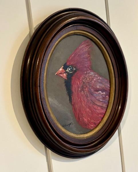 Male Cardinal Portrait