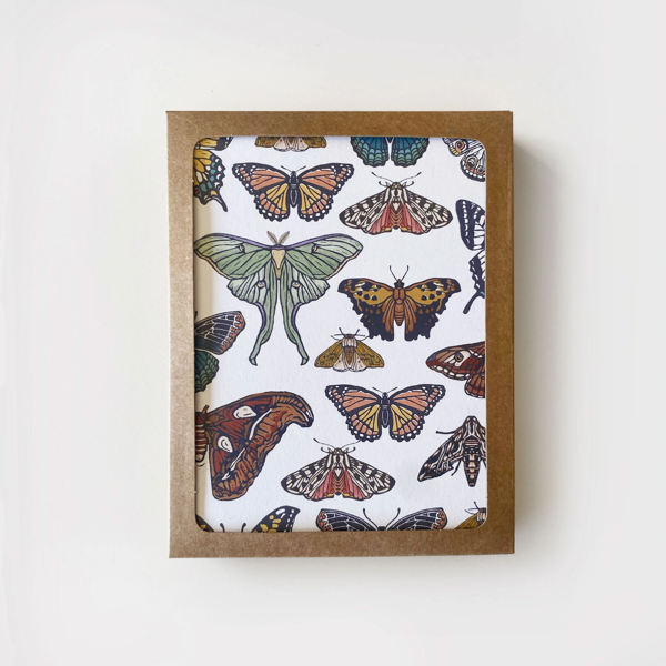 Butterfly & Moth Collection Box/8 Cards