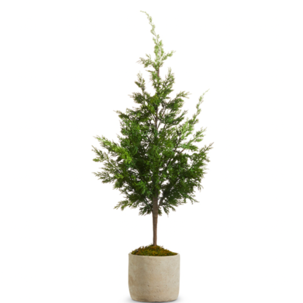 38" Potted Cedar Tree