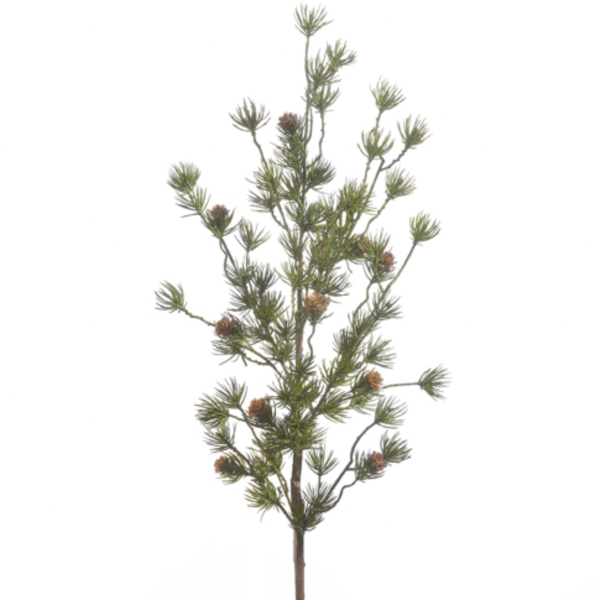 Blue Spruce Branch with Pinecone