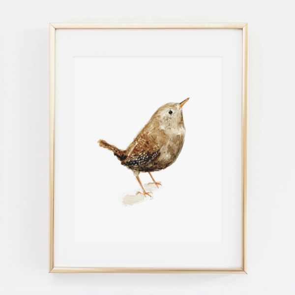 Wren Art Print