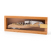 Orban & Sons Boxed Olivewood Corkscrew