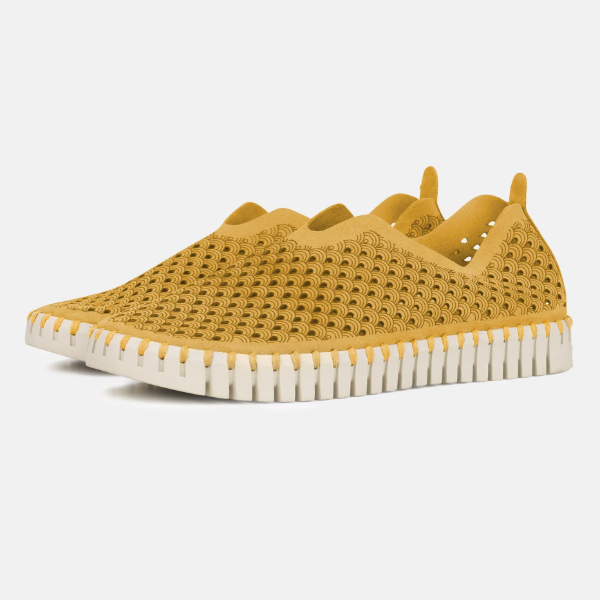 Tulip Flats in Golden Rod