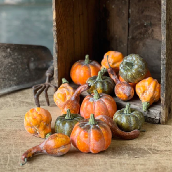 Bagged Colorguard Pumpkins 16Pcs