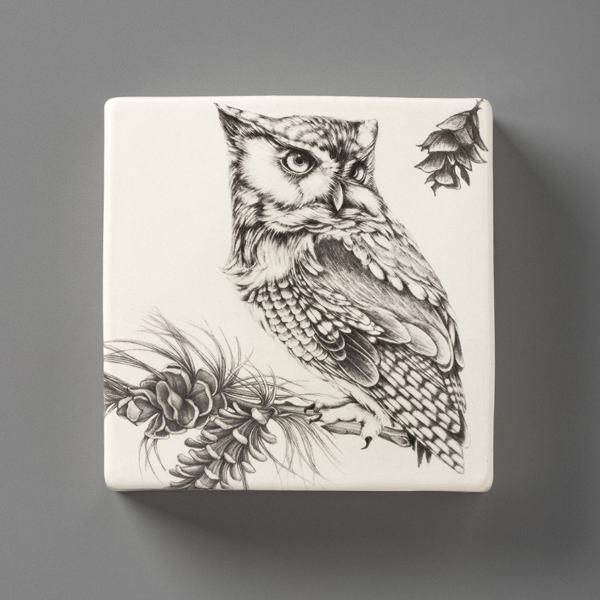 Wall Box: Screech Owl #1