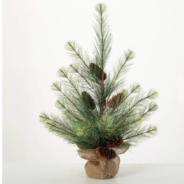 Tabletop Black Hills Pine Tree