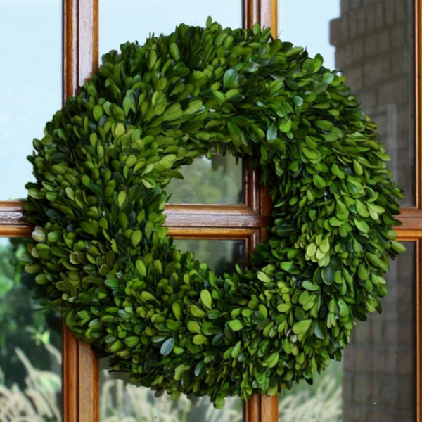 Boxwood 16" Wreath