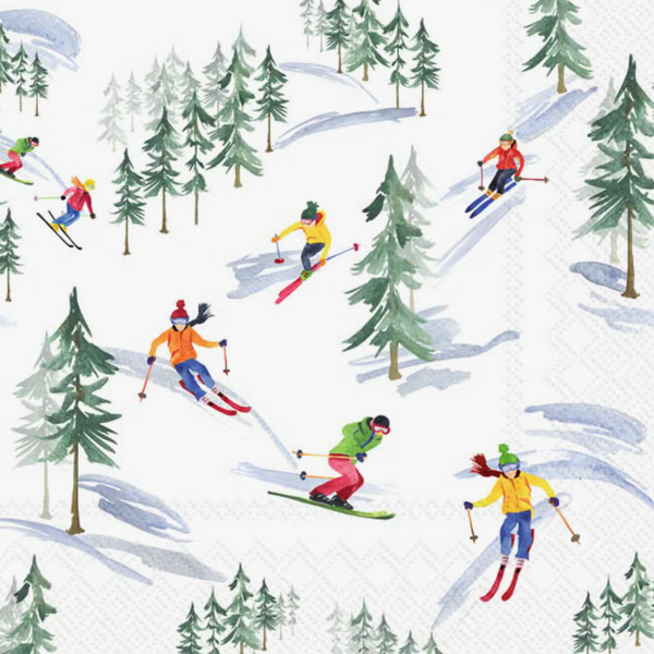 Down the Slope Lunch Napkins