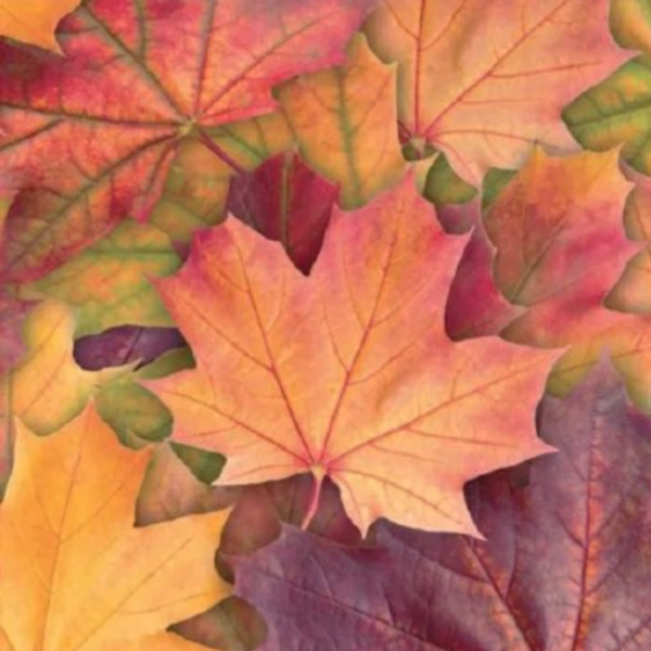 Maple Leaf Lunch Napkins