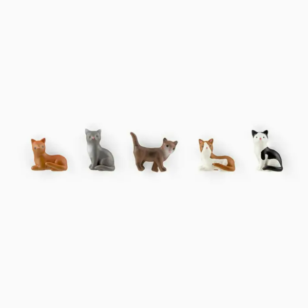 Colorful Cat Magnets