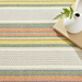 Sloane Stripe Sprout Handwoven Cotton Rug