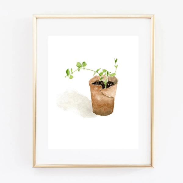 Sweet Pea Art Print