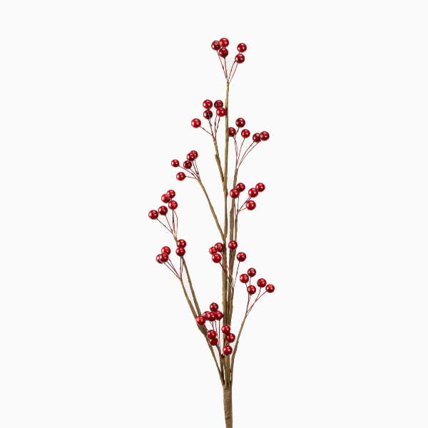 Red Berry Stem