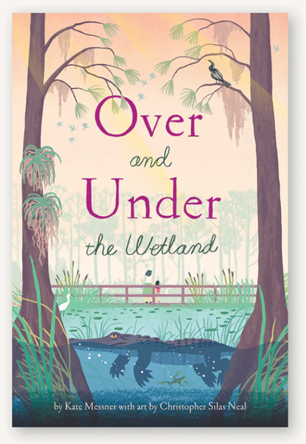 Over and Under the wetland