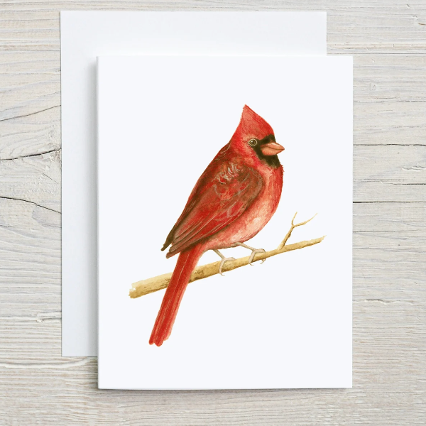 Cardinal Greeting Card