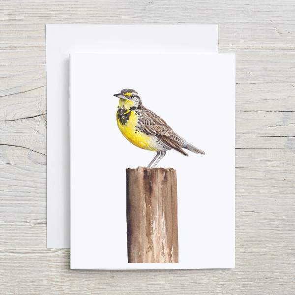 Western Meadowlark Card