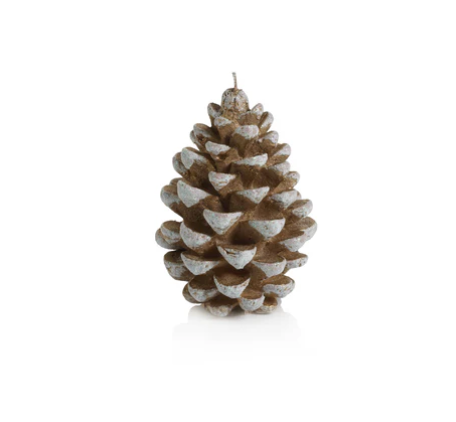 Pine Cone Candle - Gold and White