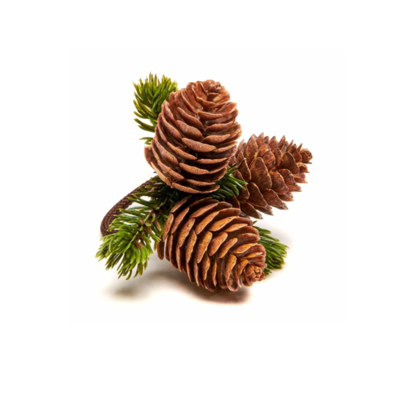 Brown Cone Cluster Napkin Ring