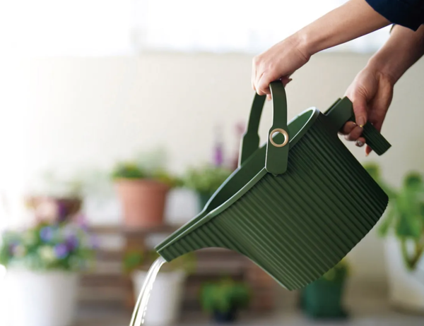 Garden Green Large Watering Can