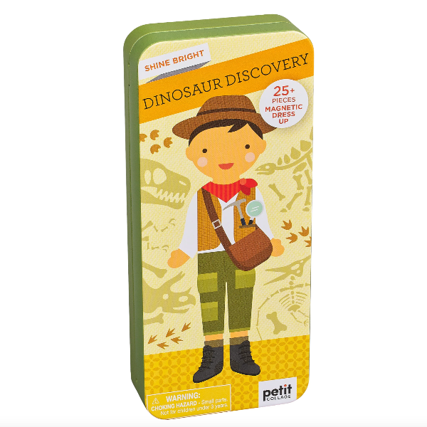 Dinosaur Discovery Magnetic Set