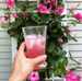 Bee Iced Tea Glasses Set/6