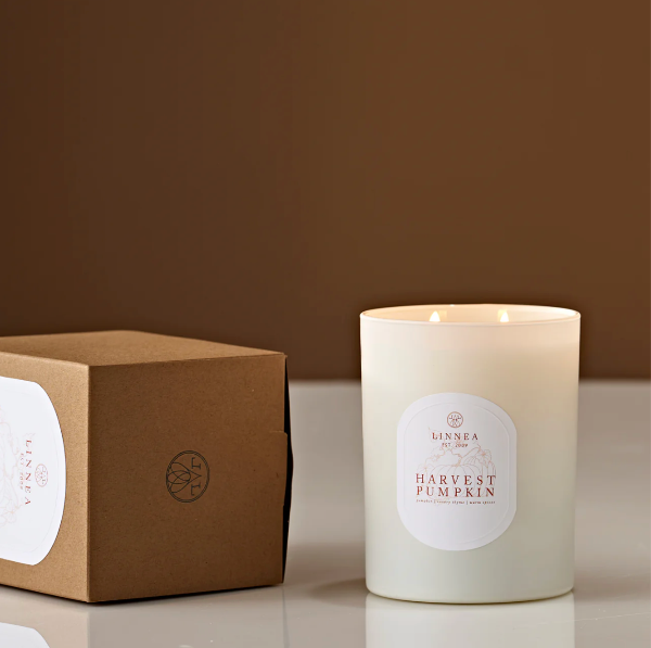 Candle labeled 'Harvest Pumpkin' next to its packaging on a brown background