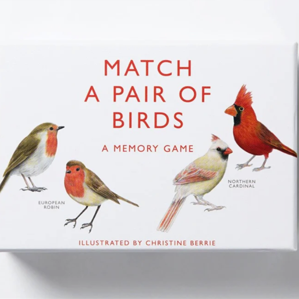 Match a Pair of Birds Game