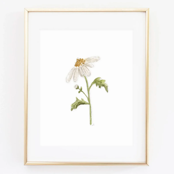 Daisy Art Print