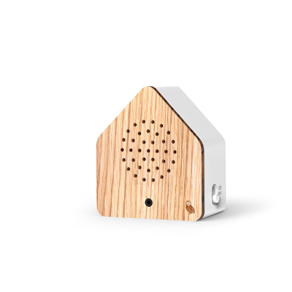 Satellitebox: Tawny Owl Wood
